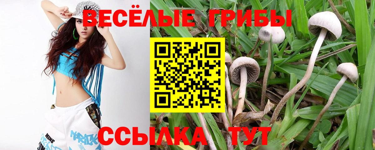 ГАШ Казань