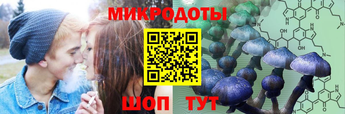 Псилоцибиновые грибы прущие грибы Казань