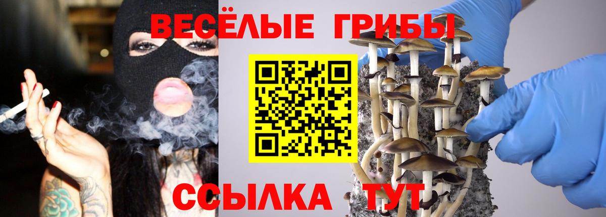 Галлюциногенные грибы GOLDEN TEACHER  Вход с VPN  наркотики  Казань 
